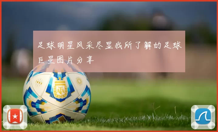 足球明星风采尽显我所了解的足球巨星图片分享