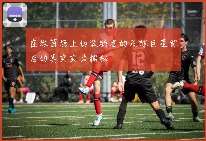 在绿茵场上伪装弱者的足球巨星背后的真实实力揭秘