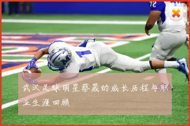 武汉足球明星蔡晟的成长历程与职业生涯回顾