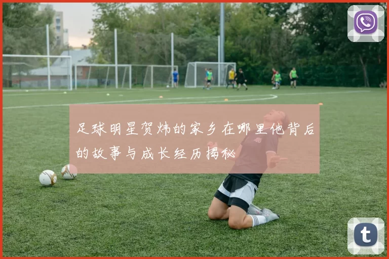 足球明星贺炜的家乡在哪里他背后的故事与成长经历揭秘