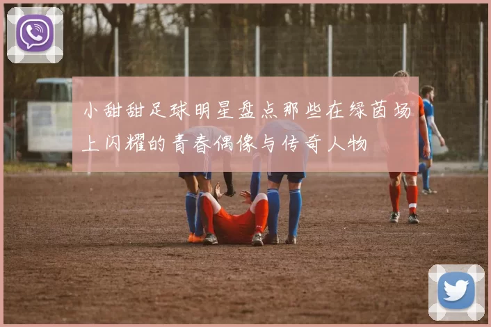 小甜甜足球明星盘点那些在绿茵场上闪耀的青春偶像与传奇人物