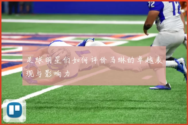 足球明星们如何评价马琳的卓越表现与影响力