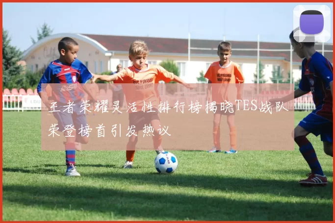 王者荣耀灵活性排行榜揭晓TES战队荣登榜首引发热议