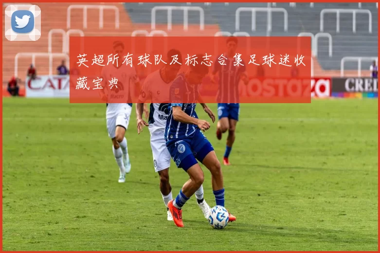 英超所有球队及标志合集足球迷收藏宝典