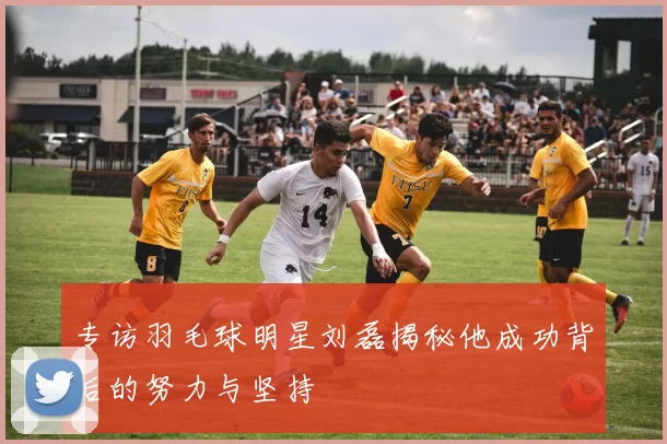 专访羽毛球明星刘磊揭秘他成功背后的努力与坚持